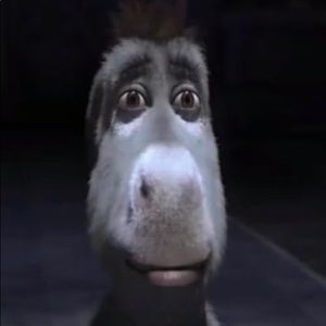 Meet your Posher, Tyree